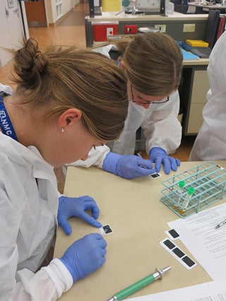Students working on analyzing blood samples