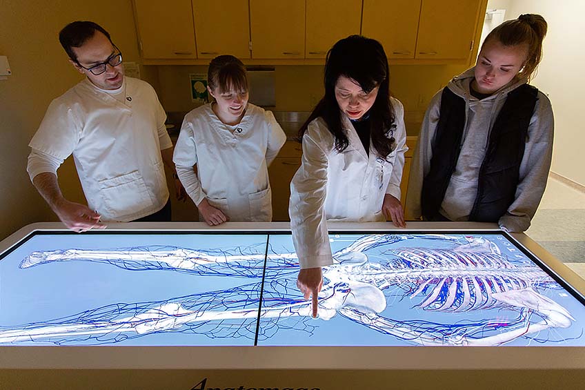 An interactive anatomy lesson on the Anatomage table, led by Dr. Sophie Feng, with nursing students Nathan Johnson, Hannah Snow, and Abbie Carlson.