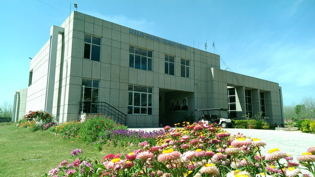 Hilary Clinton Nursing School building in the spring, with flowers lining the path up to the nursing school