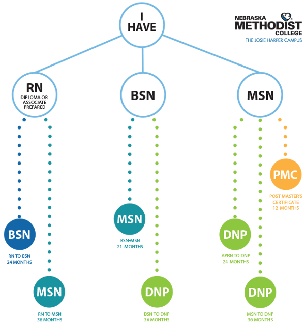 Chart shows degree paths from RN (to BSN or MSN), from BSN (to MSN or DNP), and from MSN (to DNP or Post Master's Certificate